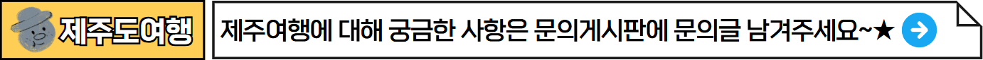 제주도실시간CCTV