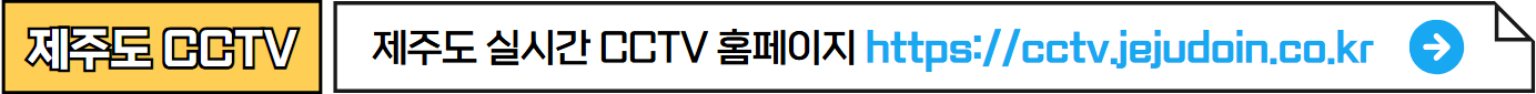 제주도실시간CCTV